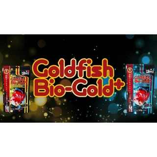 Hikari Goldfish Bio-Gold+ แดงเร็วขึ้น เข้มสด คมชัด