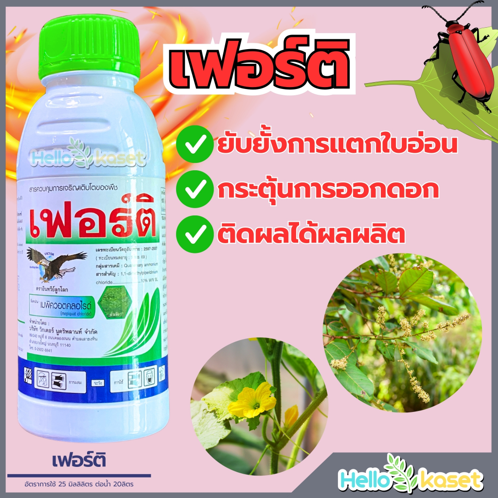 เฟอร์ติ 500 ซีซี สารเมพิควอตคลอไรด์ สารควบคุมการเจริญเติบโต ลดการเฝือใบ ยับยั้งการแตกใบอ่อน