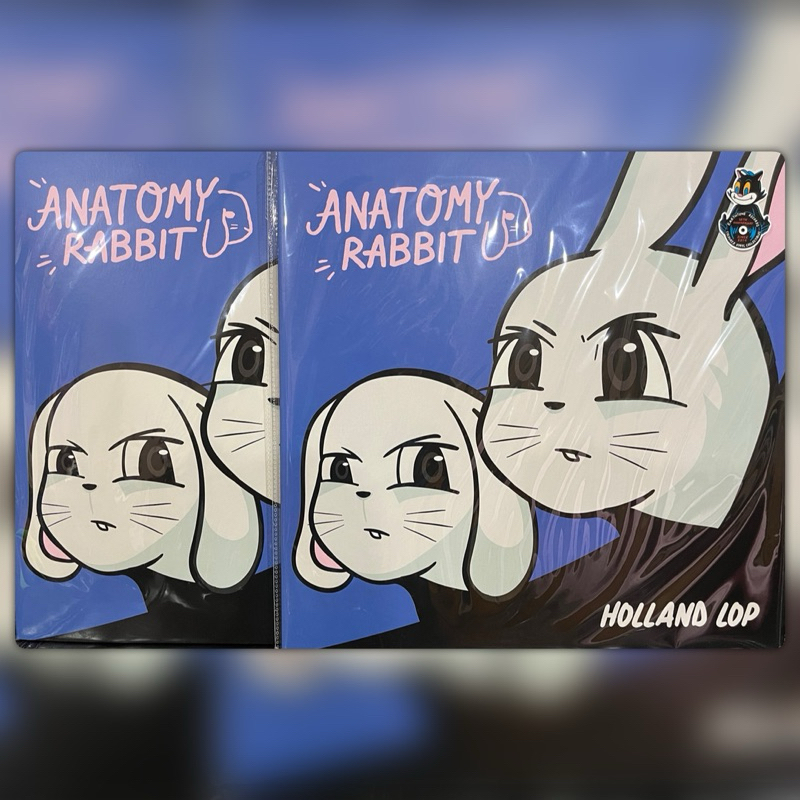 แผ่นเสียง Anatomy Rabbit อัลบั้ม Holland Lop 🐰🐰🐰