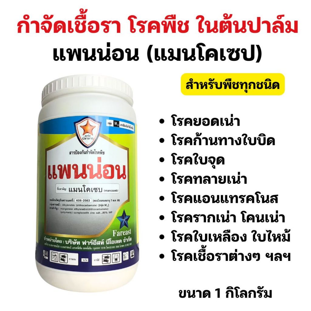 โรคยอดเน่า ใบไหม้ ทลายเน่า ในต้นปาล์ม โรคพืชที่มีสาเหตุจากเชื้อรา กำจัดด้วยแพนน่อน ใช้ได้ทุกพืช