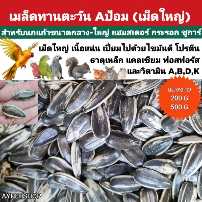 เมล็ดทานตะวัน Aป้อม อาหารนกแก้ว (500g)