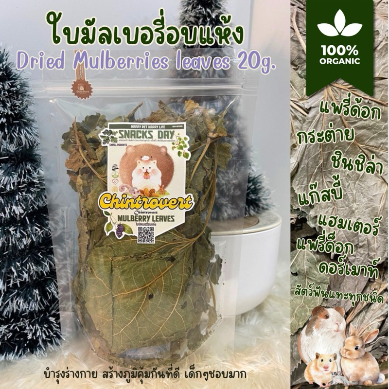 Chintrovert || ใบมัลเบอร์รี่ Mulberry leaves 20g. || ของโปรดกระต่ายและสัตว์ฟันแทะ
