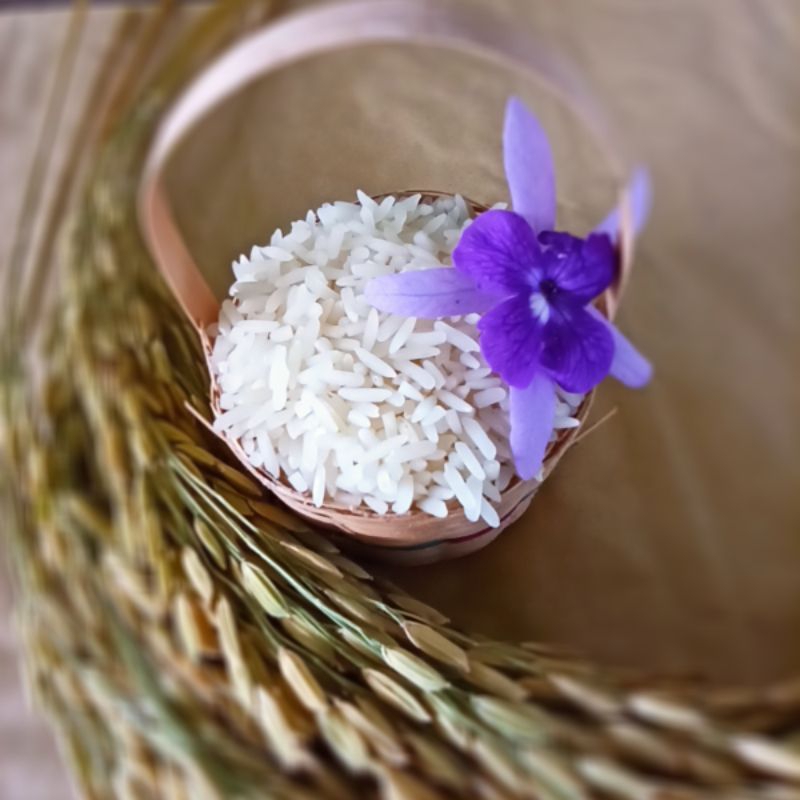 ข้าว กข 43 ข้าวขาวน้ำตาลต่ำ