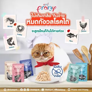 (ยกโหล 12 ซอง) อาหารแมวพรามี pramy สูตรสำหรับลูกแมว แมวโต แมวสูงวัย ขนาด 70g