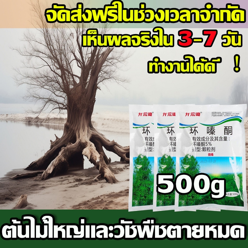 รากเน่ารากไม่ขึ้นอีก 500g ยากำจัดต้นไม้สารกำจัดกอไผ่ผงกำจัดต้นไผ่ยาฆ่าตอไม้ ผลติดทนนาน สารกำจัดก่อไผ่ สารฆ่ากอไผ่