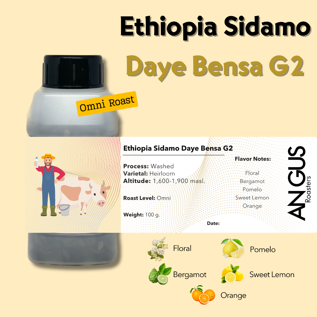 Angus Coffee Roasters เมล็ดกาแฟคั่ว Omni - Ethiopia Sidamo Daye Bensa G2