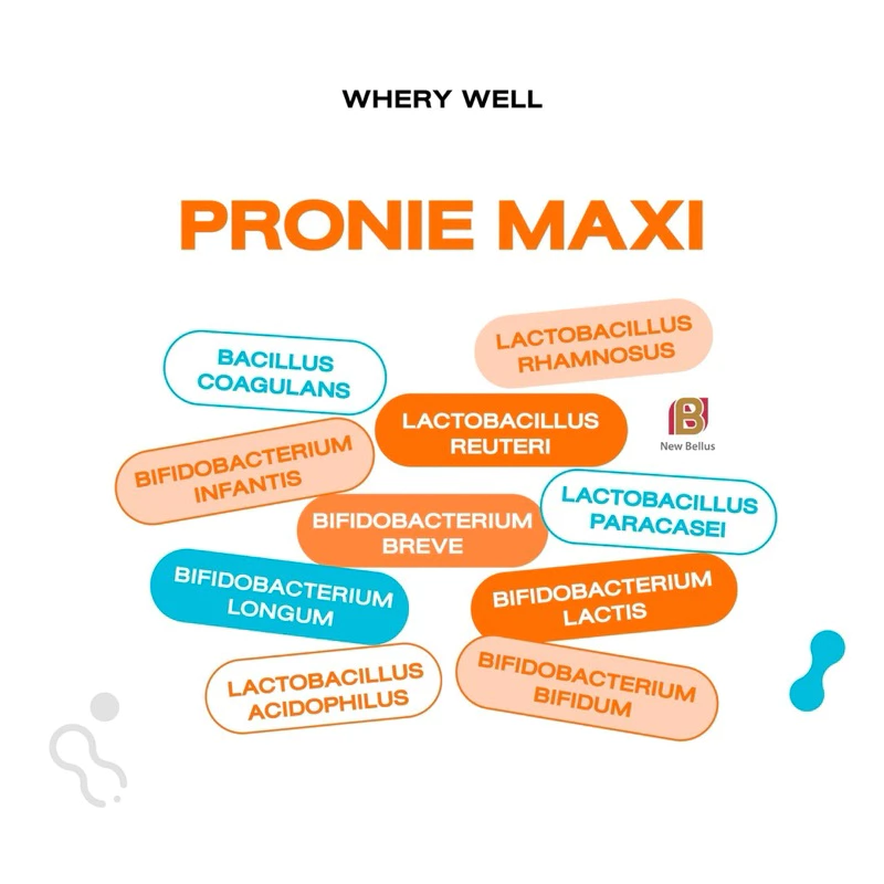 สินค้าพร้อมส่งของแท้จากบริษัท ! Whery well Pronie maxi โพรไบโอติกส์สูตรงานวิจัย 10 สายพันธุ์ thumbnail 5