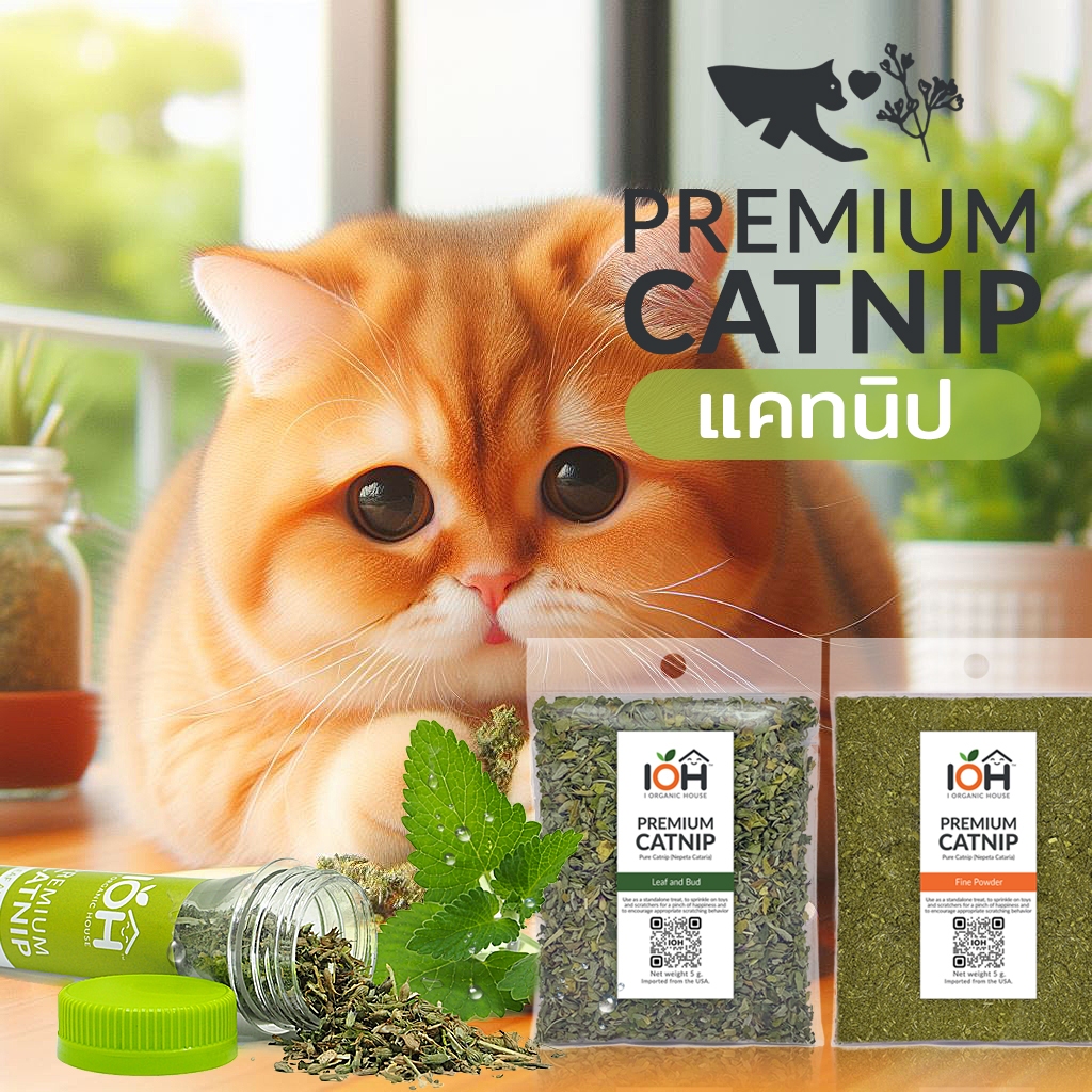 แคทนิป กัญชาแมว เกรดพรีเมี่ยม นำเข้าจาก USA ใช้สำหรับสร้างความสุขให้น้องแมว
