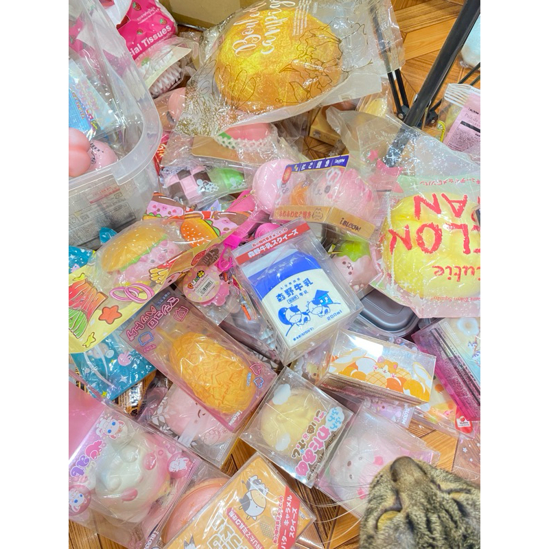 พร้อมส่ง สกุชชี่ไอบลูม สกุชชี่แท้