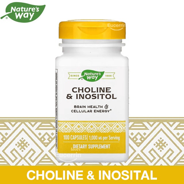 Nature's Way, Choline & Inositol, 1,000 mg, 100 Capsules (500 mg per Capsule) การเรียนรู้ ความจำ และ