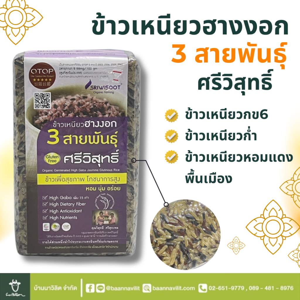 ข้าวเหนียวฮางงอก 3 สายพันธุ์ ศรีวิสุทธิ์ น้ำหนักสุทธิ 1 กิโลกรัม