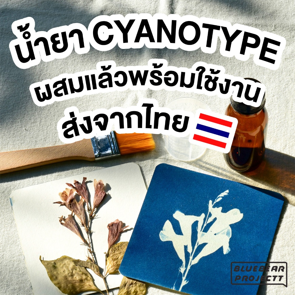 ชุดน้ำยาไซยาโนไทป์ Cyanotype ผสมแล้วพร้อมใช้งาน มีคู่มือให้แถมฟรีตัวอย่าง งาน diy ศิลปะจากธรรมชาติ