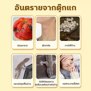 🦎จิ้งจกหายไปหมด🦎ไล่จิ้งจก ยาไล่จิ้งจก ยาไล่ตุ๊กแก ยาฆ่าตุ๊กแก คลื่นเสียงอัลตราซาวด์ไล่จิ้งจก ปลอดภัยต่อคนและสัตว์เลี้ยง