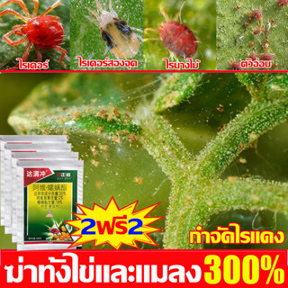 ✅ไม่มีไรแดงอีก✅ ยากําจัดไรแดง ยาฆ่าไรแดง 10g ซื้อ1แถม1 กำจัดไรแดง100% ไรเดอร์ ไรขาว ไรทุกชนิด เห็นผลทันที