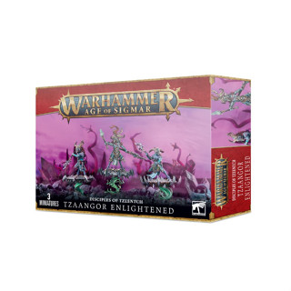 [GWพร้อมส่ง] WARHAMMER 40K/AOS: CHAOS DAEMONS/DISCIPLES OF T…