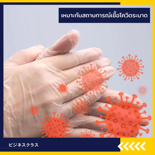 ถุงมือPVC เหนียว ไม่ขาดง่าย หนา ทนทาน สีขาว ไม่มีแป้ง ไม่ปนเปื้อนในอาหาร (100 ชิ้น) พร้อมส่งจากไทย