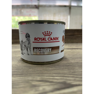 📌หมดอายุ 23/02/2025📌 Royal Canin Recovery 195 g อาหารเปียกสำหรับสุนัขและแมวป่วย สำหรับสัตว์ผ่าตัดและพักฟื้น