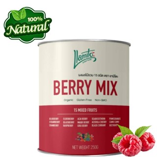 Organic Berry Mix Powder ผงเบอร์รี่มิกซ์ ออร์แกนิค คัดเกรดคุณภาพ เบอร์รี่รวม ผงเบอร์รี่รวม ขนาด 250 กรัม