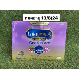 Enfagrow A+Gentle Care 3+ ขนาด