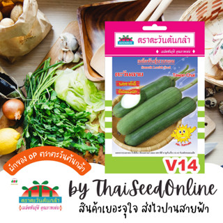 ADV ซฟ เมล็ดพันธุ์ บวบหอม ตะวันฉาย ตราตะวันต้นกล้า V14