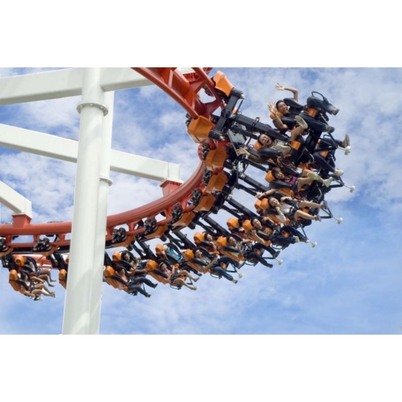 รูปภาพ 8