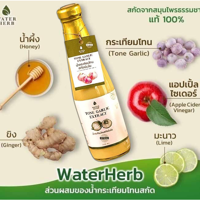 น้ำกระเทียมโทน สกัดเข้มข้น (WATERHERB) น้ำกระเทียมโทน ขิง มะนาว น้ำแอปเปิ้ลไซเดอร์ น้ำผึ้ง /ชุด 2ขวด - รูปที่ 5