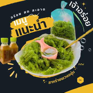 👉 ร้านแนะนำ.... สาหร่ายพวงองุ่นพร้อมน้ำจิ้มซีฟู๊ด (500 กรัม) รสเด็ด "พร้อมส่ง"