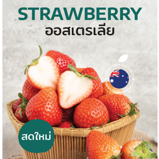 CityFresh (ยกลัง)สตรอเบอร์รี่ 𝐒𝐭𝐫𝐚𝐰𝐛𝐞𝐫𝐫𝐢𝐞𝐬 จากออสเตรเลีย ผลไม้นำเข้า