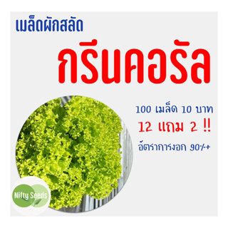 เมล็ดสลัด กรีนคอรัล 100 เมล็ด 10 บาท งอกดีมีคู่มือในการปลูก