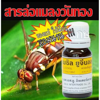 สารล่อแมลงวันทอง เมทิล ยูจินอล 10 ml.