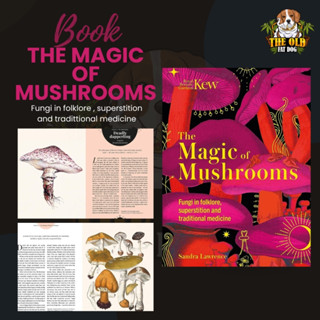 The Magic of Mushrooms ความมหัศจรรย์ของเห็ด