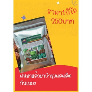 ไตรโคเดอร์​ SUPER FUNGUS​ สูตรเสริมสร้าง​ธาตุอาหารขนาด1กิโลกรัม