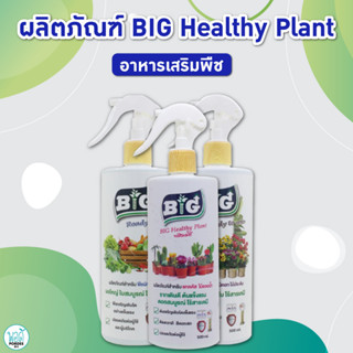 F61012 บิ๊ก ผลิตภัณฑ์สำหรับ แคคตัส ไม้อวบน้ำ 500 มล. BIG Product for succulent cactus 500 ml.