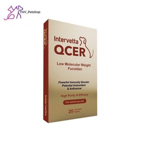 QCER  อาหารเสริมต่อต้านมะเร็ง  เสริมภูมิคุ้มกันและปรับสมดุลร่างกาย (1 กล่องบรรจุ 20 เม็ด)