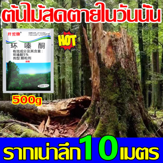 🍂ตรงไปที่ราก🍂ต้นไม้ร้อยปีเน่าในคืนเดียว ยาฆ่าต้นไม้ ใหญ่ สารกําจัดกอไผ่ 500g กำจัดต้นไม้และไผ่ให้หมดจดยาฆ่ากอไผ่