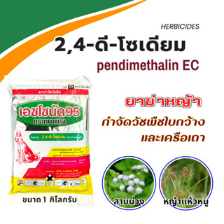 2,4-ดี เอชโดนัด ตรา หมาแดง กำจัดวัชพืชใบกว้าง ฆ่าหญ้าใบกว้าง เครือเถา หญ้าแห้วหมู ขนาด 1 กิโลกรัม