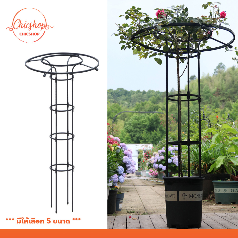 chishop ร่มดอกไม้ โครงเหล็กดัด ทรงร่ม ซุ้มไม้เลื้อย อุปกรณ์ตกแต่งสวน