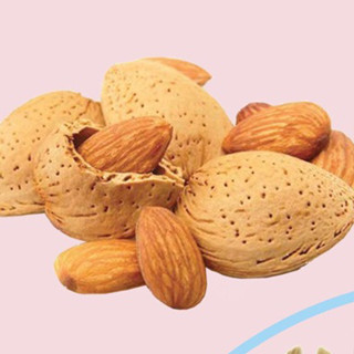 Almond อัลม่อน ลับฟันสำหรับสัตว์ฟันแทะ