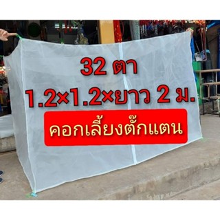 มุ้งเลี้ยงตั๊กแตน รุ่น 32 ตา 1.2×1.2×ยาว 2 ม.