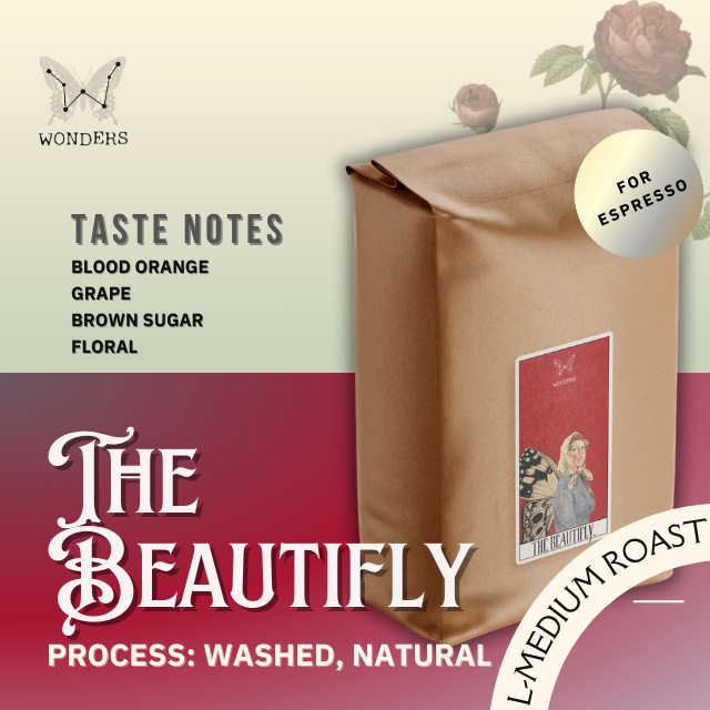 เมล็ดกาแฟคั่วกลาง-อ่อน Wonders Roasters   The Beautifies [ 200g, 500g, 1kg ] อาราบิก้า 100%