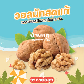 [สินค้าใหม่] วอลนัทสด ขนมสำหรับสัตว์เล็กและสัตว์ฟันแทะทุกชนิด แทะได้ ทานได้ เป็นแหล่งโปรตีน ลับฟันได้