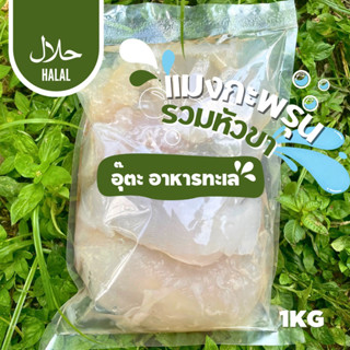 แมงกระพรุนจืด รวมหัวขา1กิโล ฮาลาล