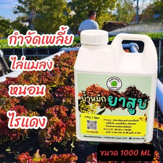 น้ำหมักบำรุงพืชผักสลัด