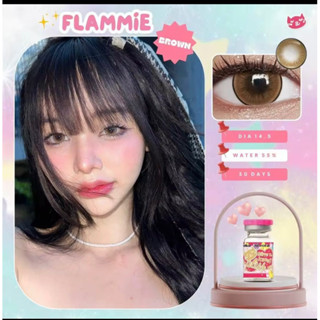 คอนเเทคเลนส์ Kittykawaii Flammie brown (dia 14.5)