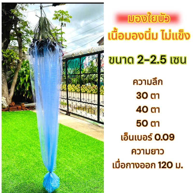 (หัวใหญ่ยาว 120 เมตร) ฟรีถุงใส่ปลา ตาข่ายดักปลา มองดักปลา มองสำเร็จรูปพร้อมใช้งาน มองใยบัวเอ็นเบอร์ 0.09มีทุ่นมีตะกั่ว ราคา ถูกที่สุด ดีลบีเคเค แกลเลอรีภาพที่ 8