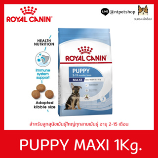 Royal canin maxi puppy 1 KG สำหรับลูกสุนัขพันธุ์ใหญ่ อายุ2เดือน-15เดือน ขนาด 1 kg.