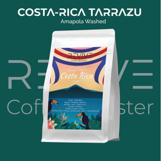 Revive Coffee Roasterเมล็ดกาแฟคั่วอ่อน Costa Rica Tarrazu Amapola