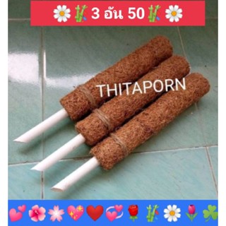 เสาหลักไม้เลื้อย/เสาไม้เลื้อย/ขนาดเล็ก30cm 3อัน50บาท