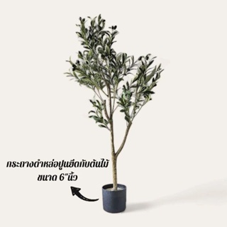 🫒 ต้นไม้ปลอมเกรดพรีเมี่ยม (Fake tree) ต้นมะกอกโอลีฟ ปลอม olive 120Cm. ครบชุดพร้อมโชว์