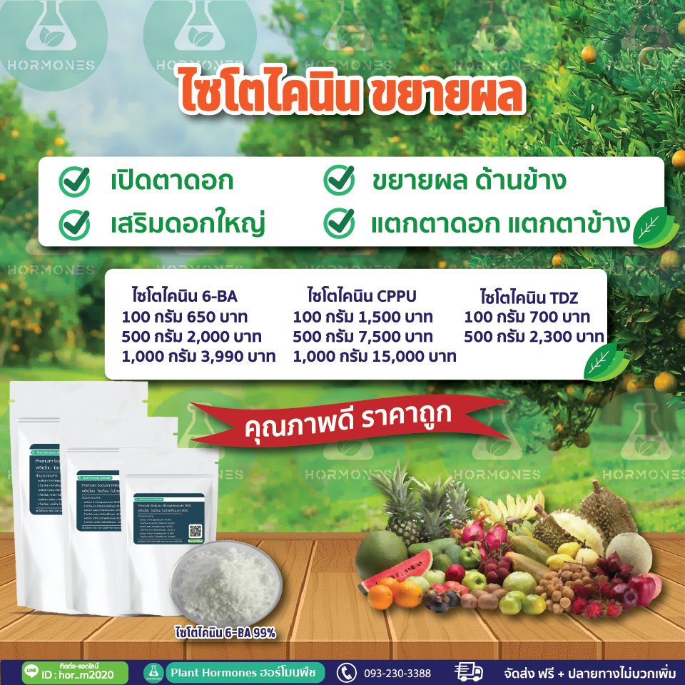 6-Benzylaminopurine 99% 1000 กรัม ไซโตไคนิน #6-BA #6-ba  #ไซโตไคนิน